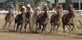 Winning His First Race Royalty Free Stock Photo