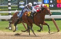 Winning His First Race Royalty Free Stock Photo