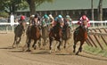 Winning His First Race Royalty Free Stock Photo