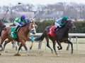 Winning on New Year`s Day at Aqueduct