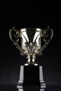 Winning trophy championship award Royalty Free Stock Photo