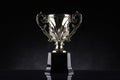 Winning trophy championship award Royalty Free Stock Photo