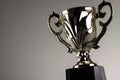 Winning trophy championship award Royalty Free Stock Photo