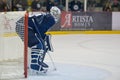 Winnipeg Jets Royalty Free Stock Photo