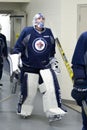 Winnipeg Jets Royalty Free Stock Photo