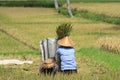 Winnowing Rice, Bali Royalty Free Stock Photo