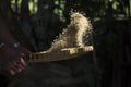 Winnowing rice from husk Royalty Free Stock Photo