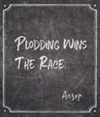 Wins the race Aesop Royalty Free Stock Photo