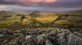 Winskill stones in Yorkshire Dales Royalty Free Stock Photo