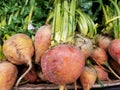 Golden Beets at a produce stand Royalty Free Stock Photo