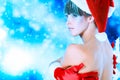 Winter Royalty Free Stock Photo