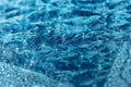 Winter abstract ice background. Blue frozen   glass texture with cracks on the ice surface Royalty Free Stock Photo