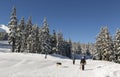 Winter Activities in Mt Bachelor Ski Resort Royalty Free Stock Photo
