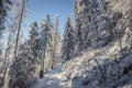 Winter activities in Western Tatras