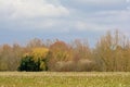 Winter agrarian field with colorful trees behind Royalty Free Stock Photo