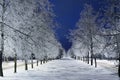 Winter Alley Royalty Free Stock Photo