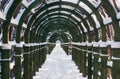 Winter alley in Arhangelskoe Royalty Free Stock Photo