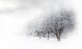 Winter alley beautiful Royalty Free Stock Photo