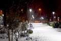 Winter alley in the city park. Night landscape. Royalty Free Stock Photo