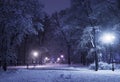 Winter alley at night Royalty Free Stock Photo