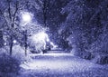 Winter alley at night Royalty Free Stock Photo