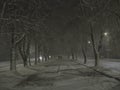 Winter alley in the night Royalty Free Stock Photo