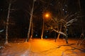 Winter alley in the park and shining lanterns. night shot. snowfall. copyspace Royalty Free Stock Photo