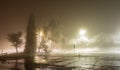 Winter alley in park and shining lanterns. Night shot. Winter wonderland