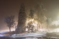 Winter alley in park and shining lanterns. Night shot. Winter wonderland