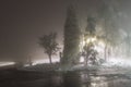 Winter alley in park and shining lanterns. Night shot. Winter wonderland