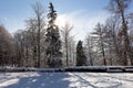 Winter alley running between the frozen trees. Beautiful winter landscape with snow covered trees Royalty Free Stock Photo