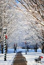 Winter Alley with Snow Covered Trees and Santa Hat on the Bench Royalty Free Stock Photo