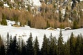 Winter alpine landscape with snow