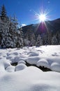 Winter in alpine valley