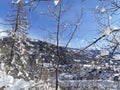 Winter alps scenery with white snow on mountain pine trees Royalty Free Stock Photo