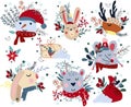 Winter animals head, cute polar bear in a scarf, rabbit head, funny mouse, colorful flowers and leaves. Concept