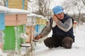 Winter on the apiary. Beekeeper winter monitors the status of bees in the hive. Winter bees in the hives in the yard.