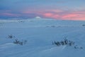 Winter arctic landscape. Tundra and hills covered with snow.