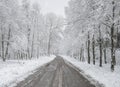 winter aura somewhere between kleszczele and policzna , podlasie, poland