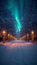 Winter Aurora Over Snowy Path Royalty Free Stock Photo