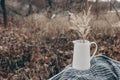 Winter, autumn outdoor picnic. Moody still life with white ceramig jug and bouquet of dry grass on black checkered wool