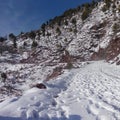 Winter in azad kashmir Royalty Free Stock Photo