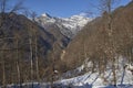 Winter in Azerbaijan Zagatala reserve border with Russia high in the mountains wild forest Royalty Free Stock Photo