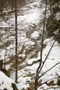 Winter in Azerbaijan Zagatala reserve border with Russia high in the mountains wild forest Royalty Free Stock Photo