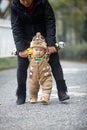 Winter baby walking Royalty Free Stock Photo