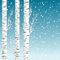 Winter background with birch trees and snowflakes Royalty Free Stock Photo