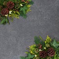 Natural Winter Christmas & New Year Background Border Royalty Free Stock Photo