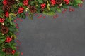 Winter Background Border with Flora and Holly Berries Royalty Free Stock Photo