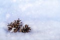 Winter background with Christmas tree toys and pine cones on fluffy snow on a sunny day Royalty Free Stock Photo