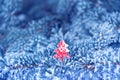 Winter background, close up of frosted pine branch on a snowing